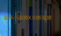 金杯小海狮X30新海狮X30L改装饰汽车配件中控仪表台盘防晒避光垫